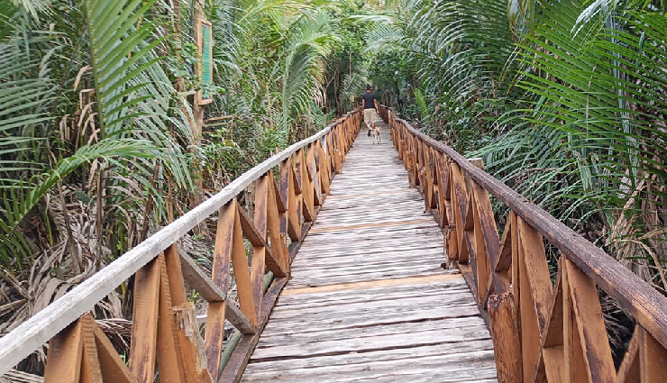 4 Most Famous Natural Mangrove Walkways in Andaman 