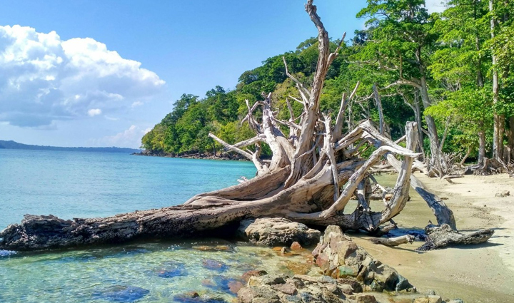 least visit places in andaman,holiday,travel,tourism