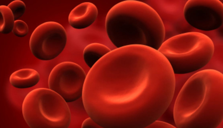 raisins nutrition facts,raisins and heart health,antioxidants in raisins,raisins for digestive health,benefits of eating raisins daily,raisins for bone health,raisins and iron content,raisins for weight loss,raisins and skin health,raisins for eye health,raisins and blood sugar control,how raisins improve immunity