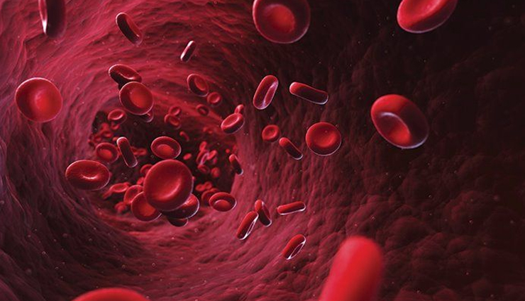 lemon water benefits,citrus health benefits,lemon detox benefits,vitamin c benefits,alkaline diet benefits,natural immunity boosters,weight loss with lemon juice,lemon juice cleanse,lemon juice recipes,lemon juice and skin health,digestive health benefits of lemon juice,lemon juice nutrition,lemon juice health hacks,lemon juice in daily routine,lemon juice for hydration