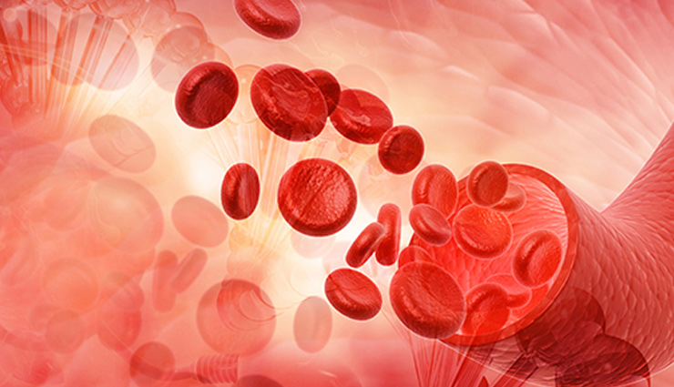 एनीमिया रोग का कारण बनता हैं आयरन की कमी, इन 8 आहार से होगी शरीर में भरपाई 