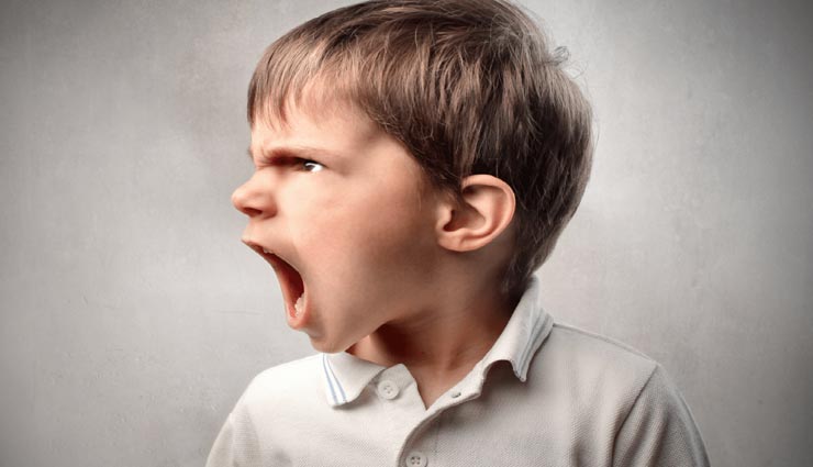 vastu tips in hindi,anger,vastu tips to control anger