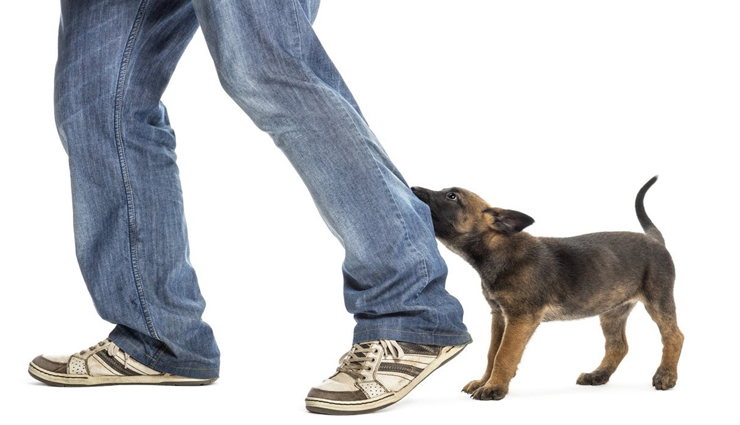 Health tips,healthy living,understanding basic first aid,how to give basic first aid,basic first aid during accidents,first aid tips