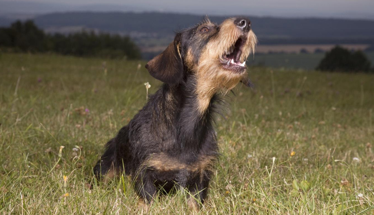 hearing these sounds,always makes your heart beat,scary sound