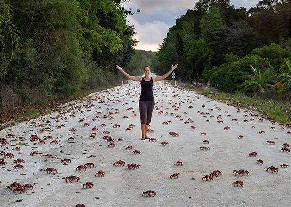 अनोखे देश जहां बारिश के दौरान पानी नहीं बरसते है जानवर weird rains,rains around the world,weird story