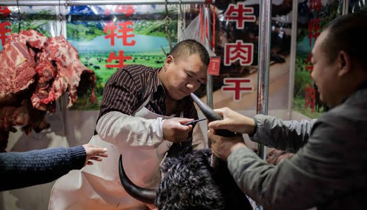 कोरोना वायरस : बैन के बावजूद चीन में खुलेआम बिक रहे है जंगली सांप, चूहे-हिरण