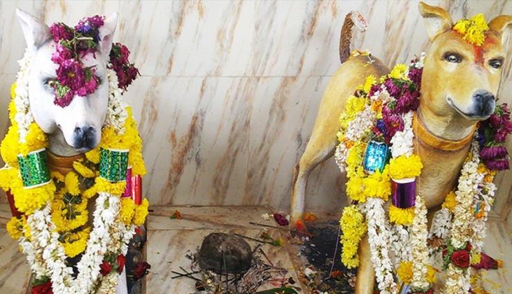 भारत के 6 अनोखे मंदिर जहां देवी-देवता नहीं बल्कि की जाती हैं जानवरों की पूजा 