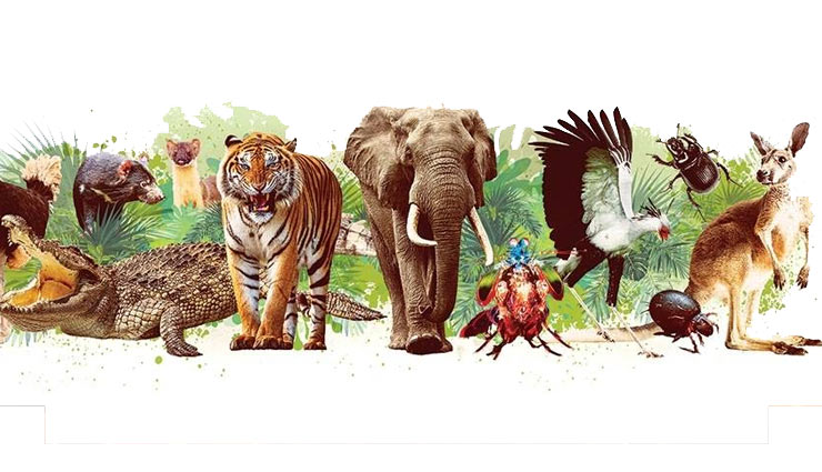 क्या आप जानतें है पशुओं की छीक के पीछे छुपे होतें है कई राज़!!, जाने