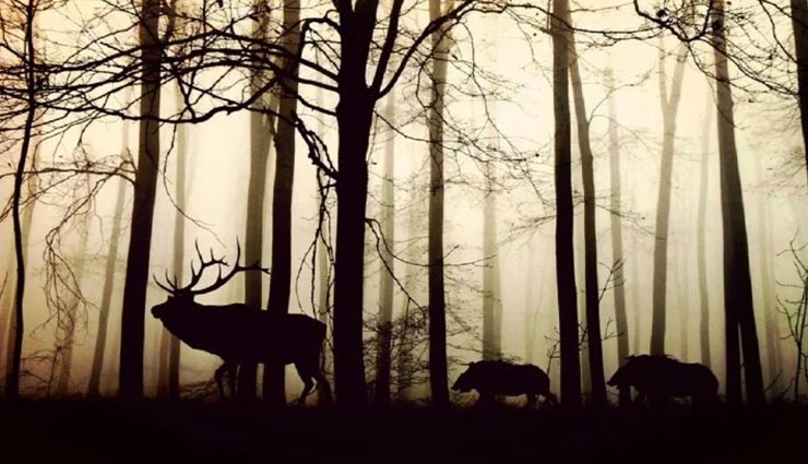 tourist place,indian tourist place,beautiful tourist place,zanskar valley