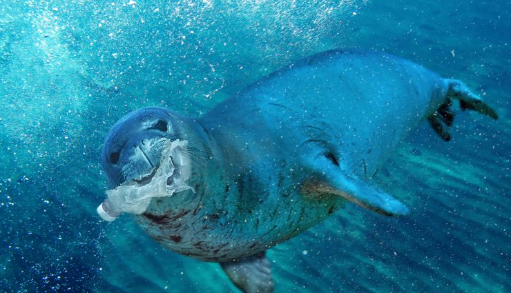 benefits of using reusable shopping bags,environmental impact of plastic bags,reusable bags for sustainable living,how reusable bags save money,shopping bag alternatives,eco-friendly shopping habits,plastic bag bans in canada,plastic pollution reduction,canadian environmental initiatives,switching to reusable bags for a greener future