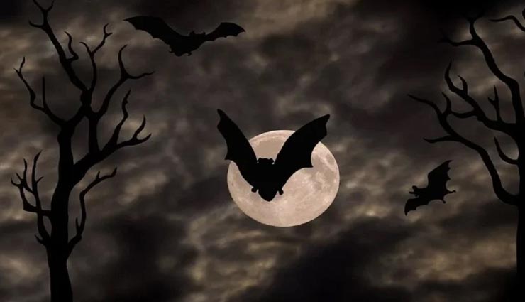 weird news,weird information,lunar eclipse 2020,animals strange things