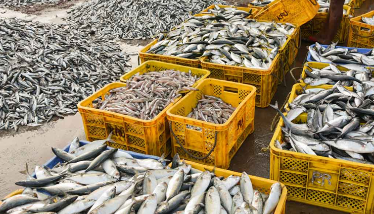 anti cancer foods,foods to eat,healthy foods,Health tips,fitness tips