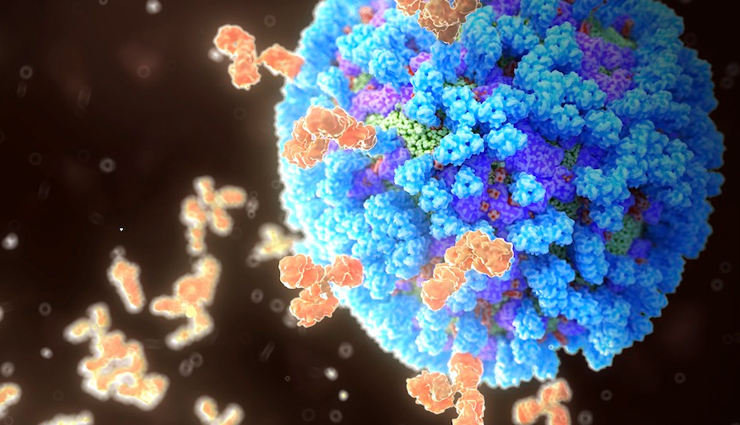 anjeer milk,health benefits anjeer milk,Health tips,fitness tips