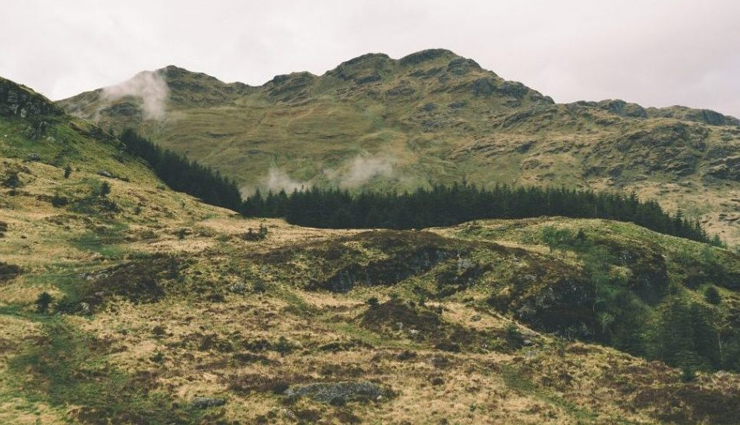 trekking near shimla,best trekking routes shimla,top trekking spots near shimla,jakhoo hill trek shimla,tara devi temple trek,naldehra trek shimla,kasauli trekking trails,fagu trek shimla,chadwick falls trek shimla,mashobra trek routes,churdhar trek details,kiala forest trek shimla,annandale trek shimla,trekking guide shimla,easy treks near shimla,adventure treks shimla,scenic treks shimla,family-friendly treks shimla,weekend trekking shimla,trekking destinations shimla,hiking trails near shimla,popular treks near shimla,trekking places himachal pradesh,trekking with kids shimla,shimla trekking experience,shimla nature treks,best trekking seasons shimla,high altitude treks shimla,short treks near shimla,long treks near shimla,shimla trekking adventure,trekking in shimla hills,shimla trek tips,himalayan treks near shimla,nature walks shimla,shimla trek difficulty levels,scenic hiking shimla,shimla trek routes map,trekking tours shimla,best views trekking shimla