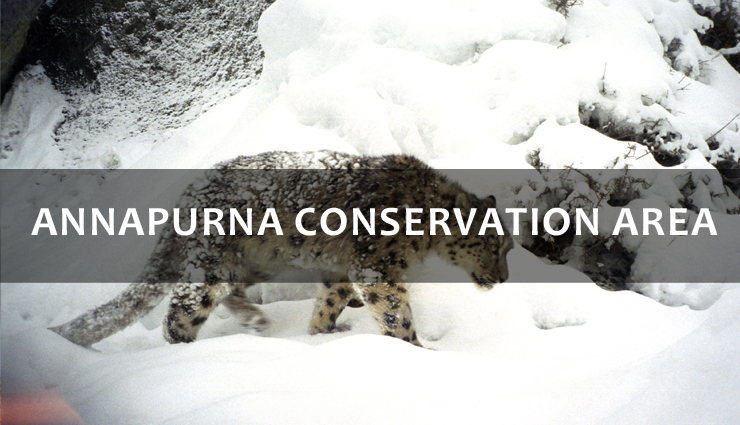 wildlife sanctuaries to visit in nepal,best wildlife sanctuaries to visit in nepal,7 best wildlife sanctuaries to visit in nepal,chitwan national park,parsa wildlife reserve,shukla phanta wildlife reserve,sagarmatha national park,makalu barun national park,annapurna conservation area,kanchenjunga conservation area,nepal travel,holidays,travel guide,travel tips