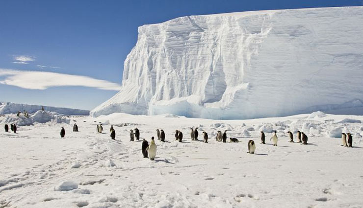 weird rules,weird rules  for antarctica,antarctica tourism,antarctica,travel tips