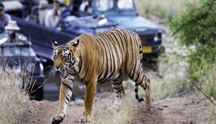 tourist places,indian tourist places,kids destinations