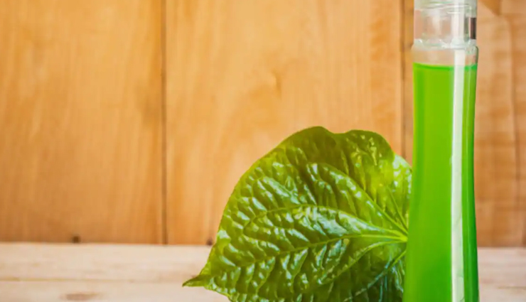 chewing betel leaves,betel leaves meaning,betel leaves for hair,betel leaves advantages,betel leaves benefits for hair,betel leaves benefits for skin,betel leaves benefits and side effects,betel leaves benefits for face,betel leaves contains,betel leaves calcium,betel leaves composition,betel leaves cancer,betel leaves cough,betel leaves disadvantages,betel leaves diabetes,betel leaves drink,betel leaves during breastfeeding,betel leaves during pregnancy,betel leaves for cough,betel leaves for skin,betel leaves for diabetes,betel leaves health benefits,betel leaves health effects,betel leaves hair pack,betel leaves how to grow,betel leaves how to eat,betel leaves hair oil,betel leaves juice benefits,betel leaves juice,betel leaves juice recipe,betel leaf juice,betel leaf juice benefits,betel leaf juice for babies,betel leaf juice for eyes,betel leaf juice for skin whitening,betel leaves ka matlab