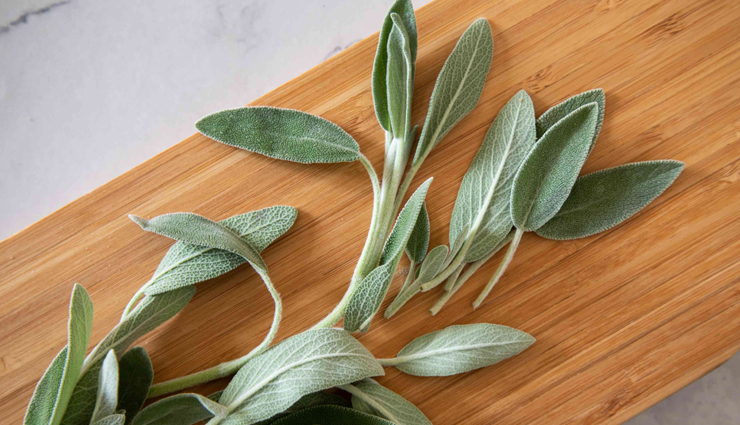 diy anti dandruff shampoo,homemade shampoo,hair care tips,beauty tips