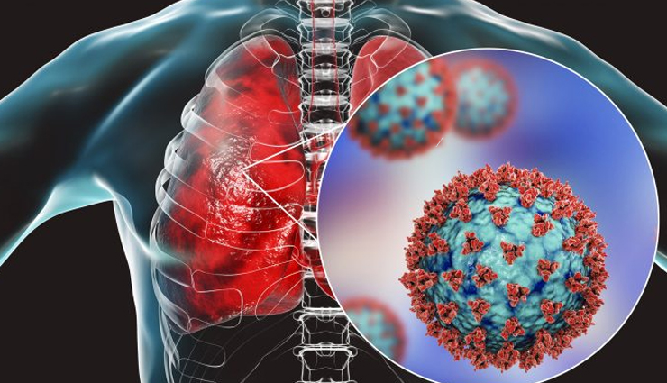 olive oil health benefits,mediterranean diet staple,monounsaturated fats in olive oil,extra virgin olive oil nutrition,antioxidants in olive oil,heart-healthy olive oil,anti-inflammatory properties of olive oil,cancer prevention with olive oil,brain health benefits of olive oil,olive oil and weight management,digestive health benefits of olive oil,skin benefits of olive oil,oleic acid in olive oil,polyphenols in olive oil,mediterranean cuisine and olive oil,cooking with olive oil,olive oil in skincare,culinary uses of olive oil,olive oil production methods,benefits of incorporating olive oil into diet