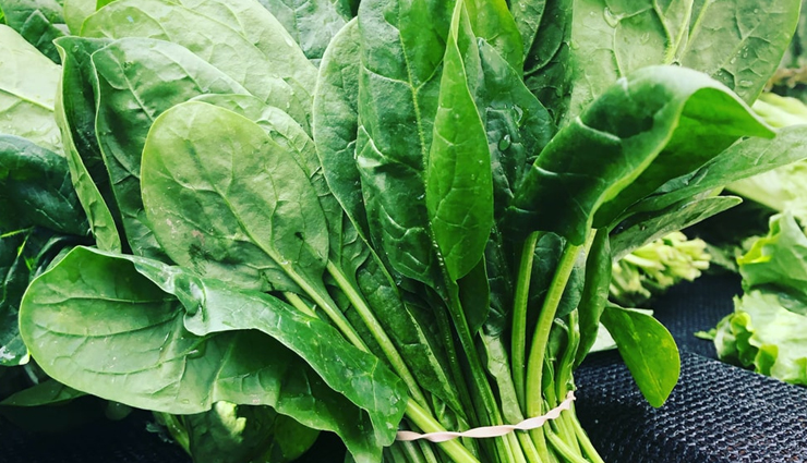 बुढ़ापे से बचना हैं तो आहार में शामिल करें ये एंटी एजिंग फूड, त्वचा बनी रहेगी जवां if you want to avoid old age,then include this anti aging food in the diet,the skin will remain young,beauty tips,beauty hacks