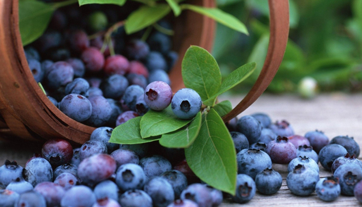 बुढ़ापे से बचना हैं तो आहार में शामिल करें ये एंटी एजिंग फूड, त्वचा बनी रहेगी जवां if you want to avoid old age,then include this anti aging food in the diet,the skin will remain young,beauty tips,beauty hacks