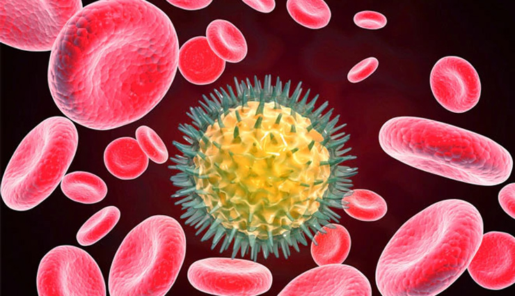 शोध में खुलासा, कुछ समय बाद कमजोर पड़ने लगती है एंटीबॉडी, रहें सतर्क