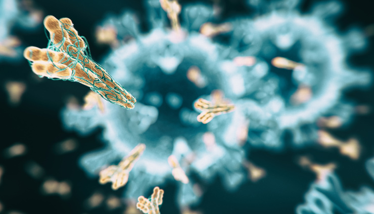 coronavirus,antibody,what is antibody,coronavirus antibody test,covid 19 health updates,health news