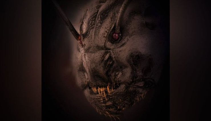 microscopic pictures,the amazing world through microscope