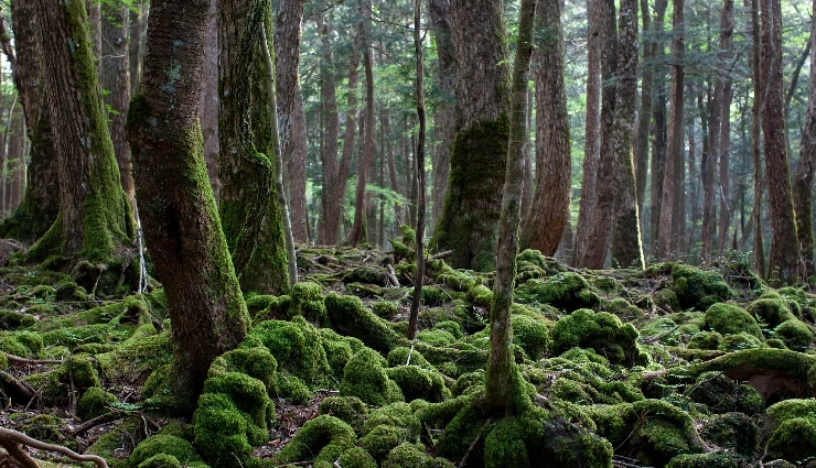 haunted places to visit,most haunted destinations,ghostly locations worldwide,eerie tourist spots,haunted landmarks to explore,supernatural travel destinations,scary places for tourists,ghost hunting hotspots,paranormal attractions around the globe,spooky travel destinations,haunted sites for thrill-seekers,creepy places to visit on vacation,top haunted spots worldwide,places with ghostly legends,scariest travel destinations