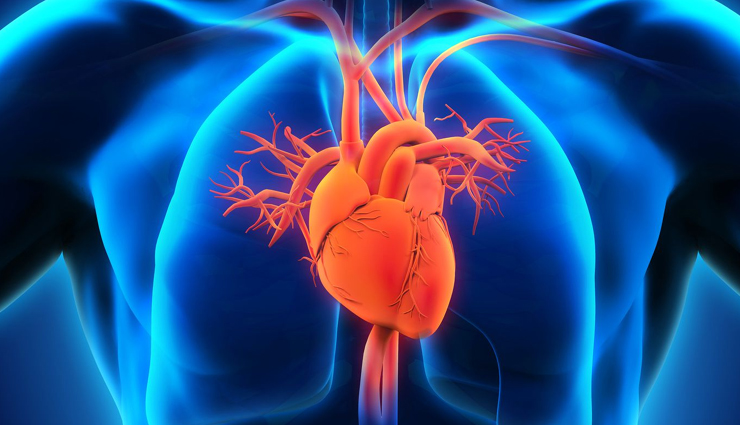 What Is Aortic Stenosis? Symptoms, Causes, Diagnosis, Treatment, and Prevention
