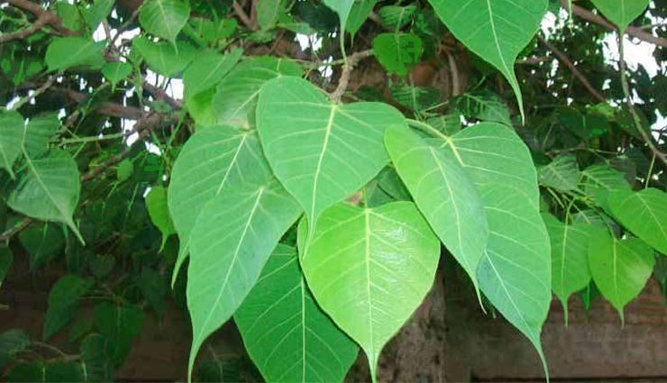 astrology tips,business,astro tips