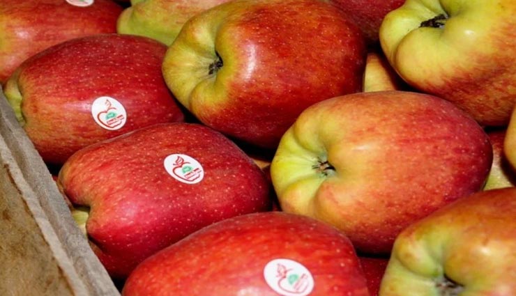 Health tips,health tips in hindi,diabetic patient,healthy fruit