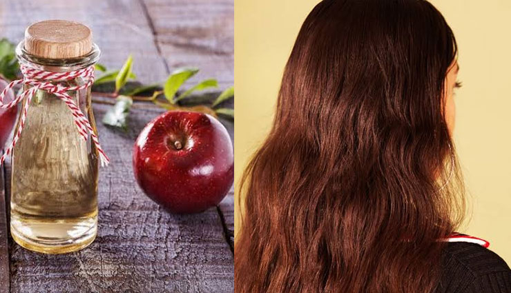 head lice,home remedies to get rid of head lice,lice problem,scalp care tips,scalp care,beauty,beauty tips