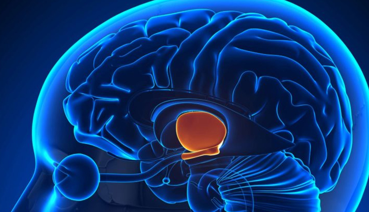 apple cinnamon tea,health benefits of apple cinnamon tea,Health tips,fitness tips