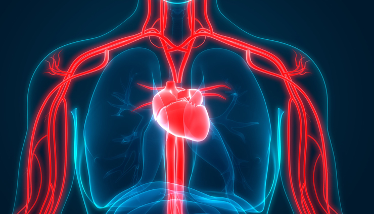 apple cinnamon tea,health benefits of apple cinnamon tea,Health tips,fitness tips