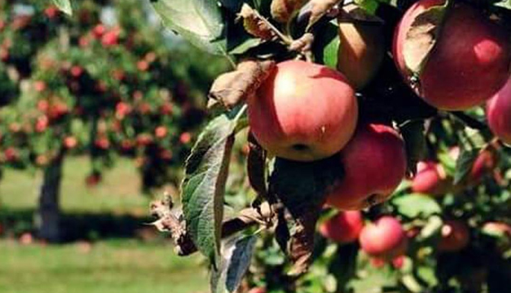 bomdila,places to visit in bomdila,bomdila arunachal pradesh,travel,tourist places in arunachal pradesh,travel guide,holidays in arunachal pradesh