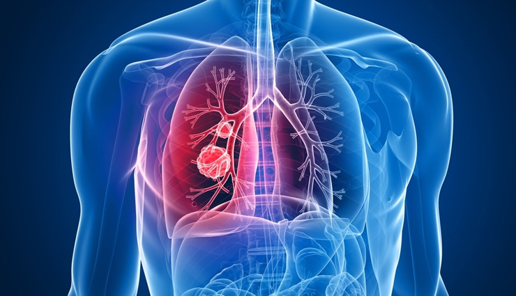 health benefits of apple peel,apple peel,Health tips,fitness tips