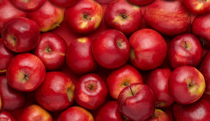 food dog loves to eat,dogs favorite food,dogs food,vegetables for dogs,dogs care