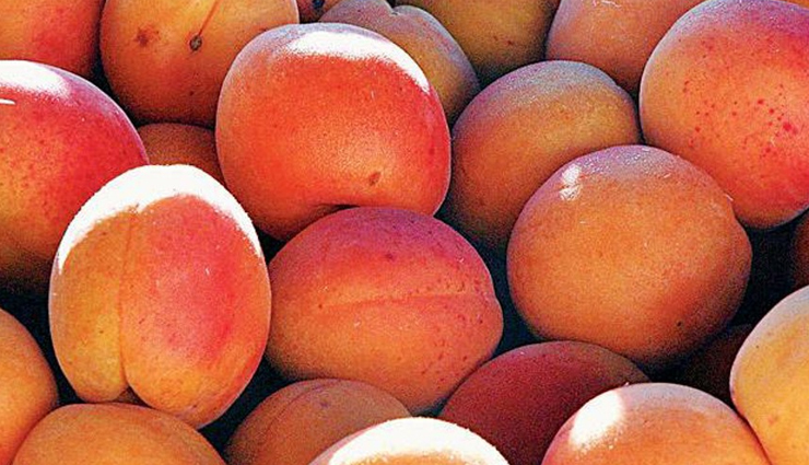 anti aging foods for men,anti aging food for skin,anti aging foods and drinks,anti aging food supplements,anti aging food items,anti aging food diet,anti aging food and drinks,anti aging food and fitness plan,the anti-aging foods,anti aging food benefits,anti aging best food,anti aging food combinations,anti aging skin care foods,anti aging food to eat,anti aging food for face,anti aging food for wrinkles,list of anti aging food,anti aging food supplement products,skin food anti aging products,anti aging rich foods,anti aging food skin