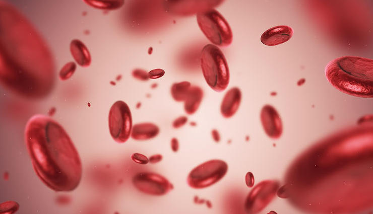 health benefits of apricot,apricot,Health tips,fitness tips