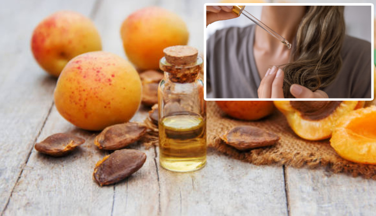  DIY Ways To get Strong Hair Using Apricot Oil
