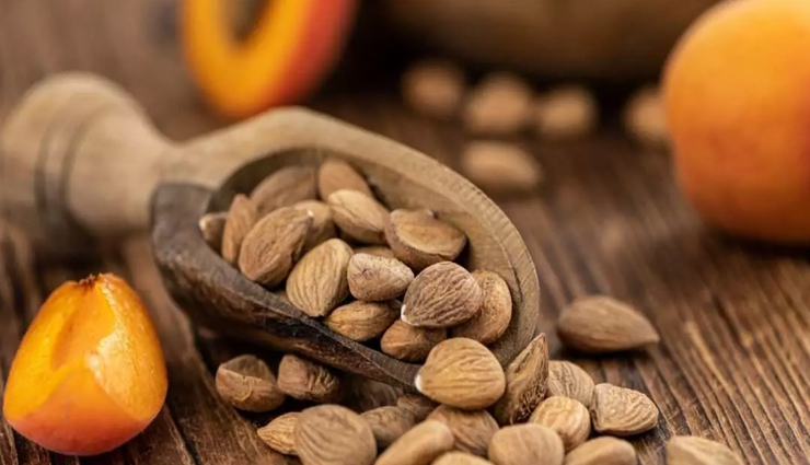 10 Health Benefits of Apricot Seeds
