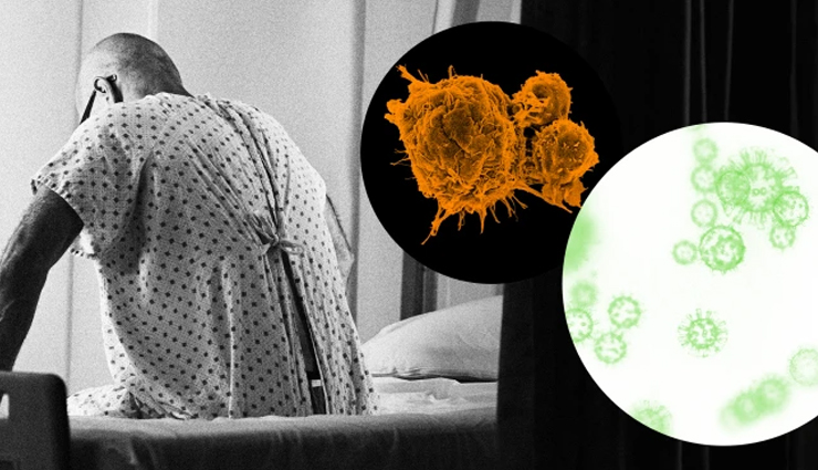 apricots,health benefits of apricots,Health tips,fitness tips