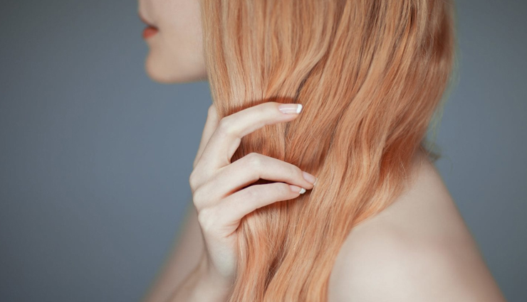 apricots,health benefits of apricots,Health tips,fitness tips