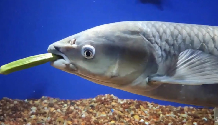 tourist attractions in kanyakumari,best places to visit in kanyakumari,kanyakumari sightseeing spots,famous tourist destinations in kanyakumari,things to do in kanyakumari for tourists,top-rated tourist places in kanyakumari,cultural tourism in kanyakumari,historical places in kanyakumari,nature tourism in kanyakumari,kanyakumari tourism guide