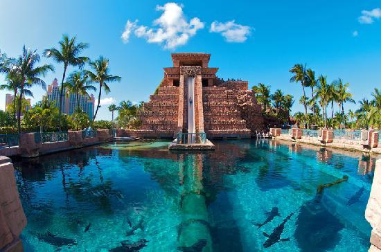 insane water parks around the world,most dangerous water parks,water parks around the world,adaland,aquaventure water park,star beach,splashin safari,blizzard beach