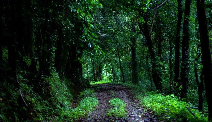 wildlife sanctuaries in kerala,best wildlife sanctuaries in kerala,top wildlife sanctuaries to visit in kerala,kerala wildlife tour,kerala wildlife sanctuaries list,best wildlife destinations in kerala,famous wildlife sanctuaries in kerala,kerala national parks and wildlife sanctuaries,visit kerala wildlife sanctuaries,wildlife sanctuaries for nature lovers in kerala,kerala wildlife photography spots,nature reserves in kerala,kerala wildlife sanctuary travel guide,elephant sanctuaries in kerala,bird sanctuaries in kerala