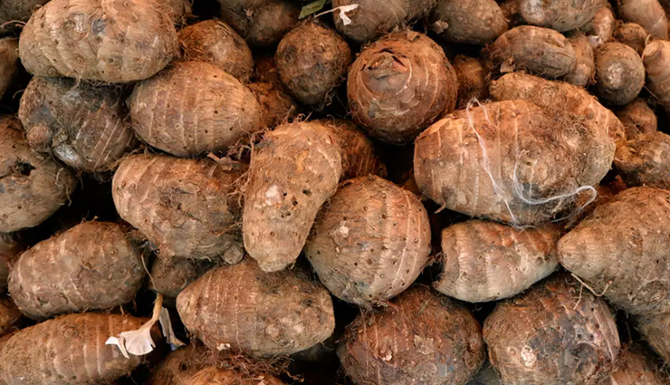 health benefits of arbi,Health tips,fitness tips,arbi