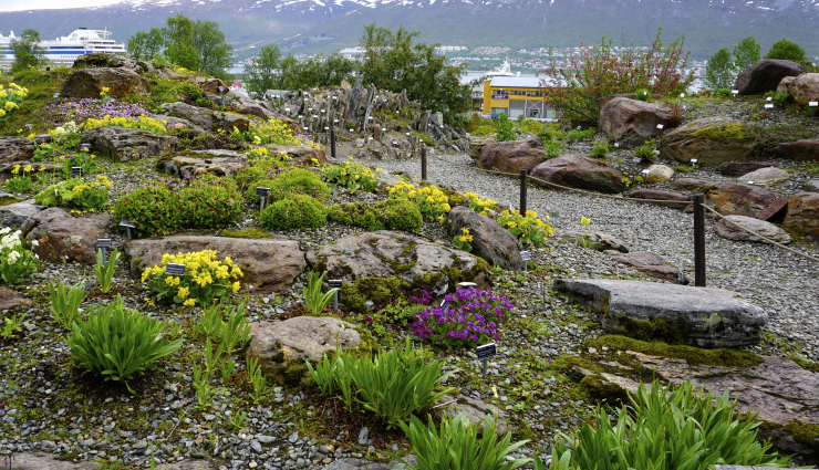 best botanical gardens worldwide,top botanical gardens to visit around the world,must-visit botanical gardens globally,exquisite botanical gardens to explore worldwide,world most beautiful botanical gardens,botanical gardens worth visiting worldwide,discover the finest botanical gardens around the world,explore stunning botanical gardens across the globe,botanical gardens for nature lovers worldwide,unforgettable botanical garden experiences worldwide,spectacular botanical gardens to add to your travel list,hidden gems: botanical gardens around the world,botanical gardens showcasing natural wonders globally,international botanical gardens for garden enthusiasts,uncover the beauty of botanical gardens worldwide